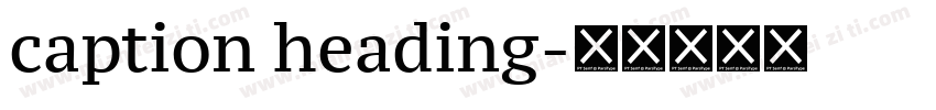caption heading字体转换